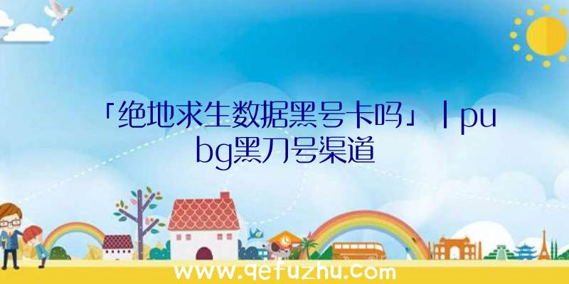 「绝地求生数据黑号卡吗」|pubg黑刀号渠道